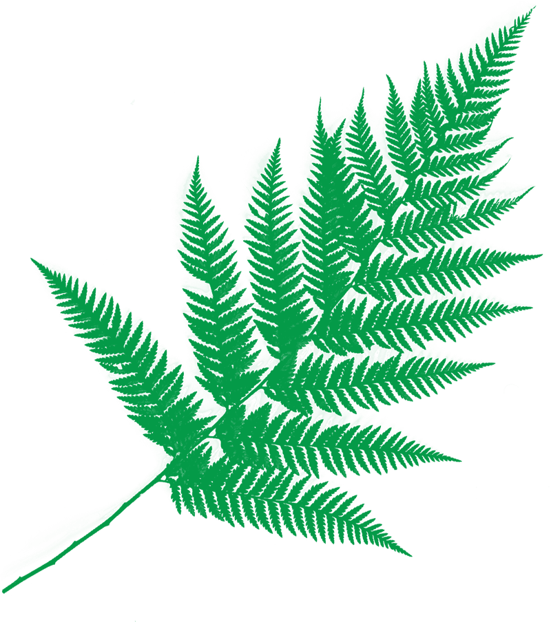 holistic-healer-42-1