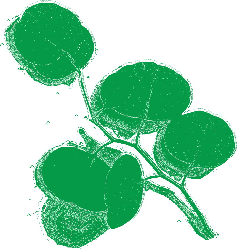 holistic-healer-44-1